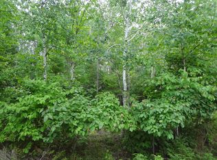 Wilderness Cir, Presque Isle, MI 49777