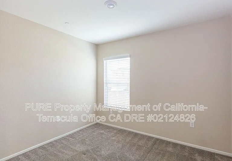 41966 Pedraza St — Photo 6