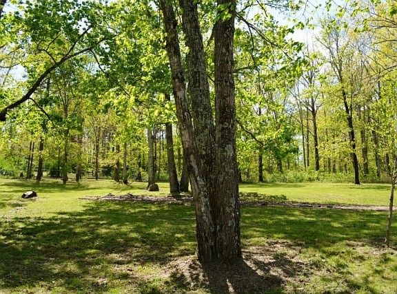 4th image of 10321 Arnat Dr
