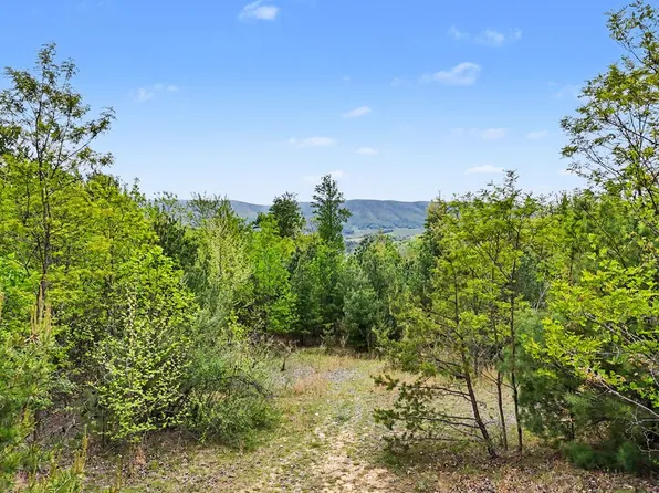 High Chaparral Ln, Bland, VA 24315