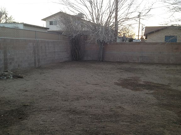 Part of back Yard