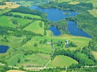 11080 E Austin Rd, Manchester, MI 48158