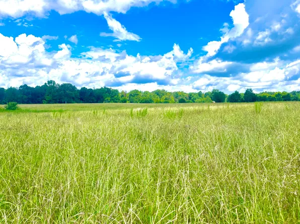 1 Glaze Ferry Rd, Harpersville, AL 35078