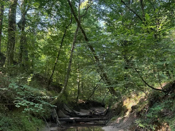 Monte Vista Rd, Eupora, MS 39744