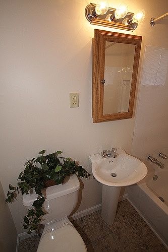 2nd image of 43 S Audubon Rd APT B1