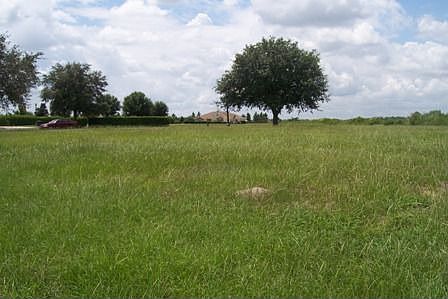View From Back of Lot