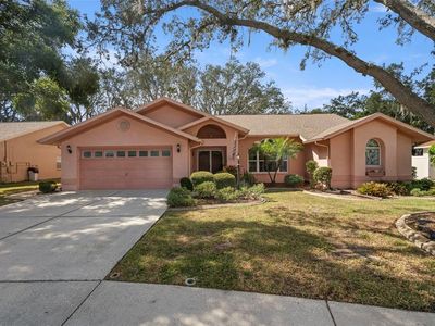 3177 O'Hara Dr, New Port Richey, FL, 34655