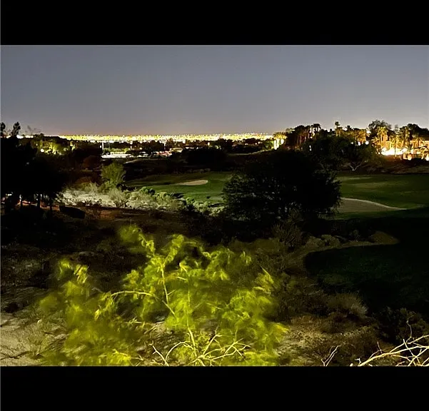 712 Peachy Canyon Cir #201 — Photo 32