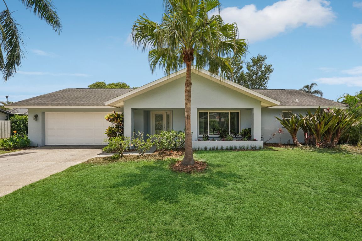 Dominica Cir-L1007-006.jpg