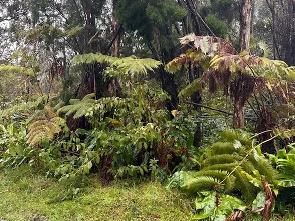 LOT 7th St #A-2, Volcano, HI 96785
