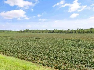 PARCEL 6 Mineral Springs Rd, Jay, FL 32565