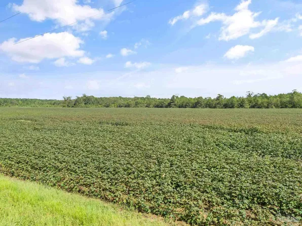 PARCEL 6 Mineral Springs Rd, Jay, FL 32565