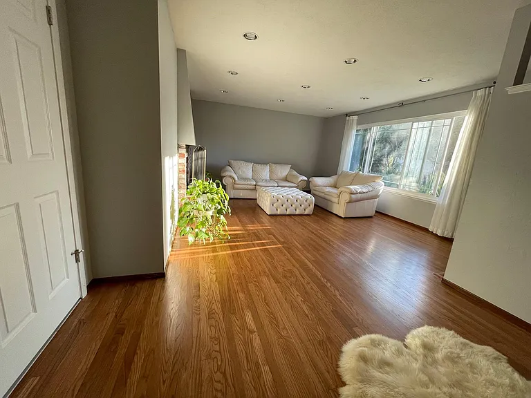 Palmetto Dr — Photo 2