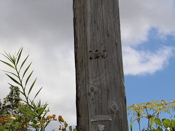 5th image of Plumeria St Lot 6468