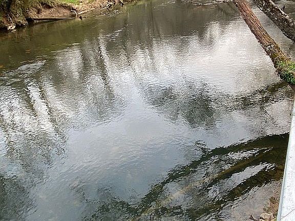 3rd image of 555 Little Ranger Rd