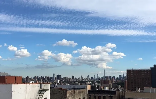 Rented by Douglas Elliman | media 5