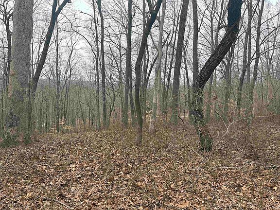 3rd image of Campton Rd