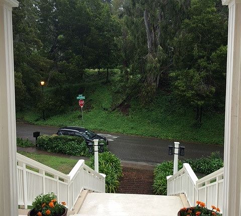 Looking out the front door