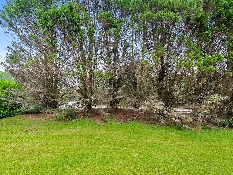 3116 Baywood Ct — Photo 16