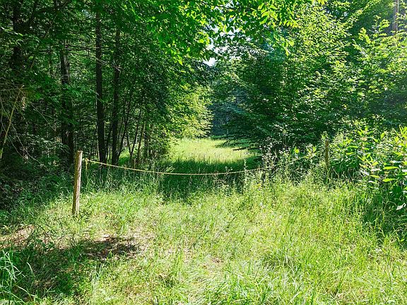3rd image of 0 Berry Patch Lane