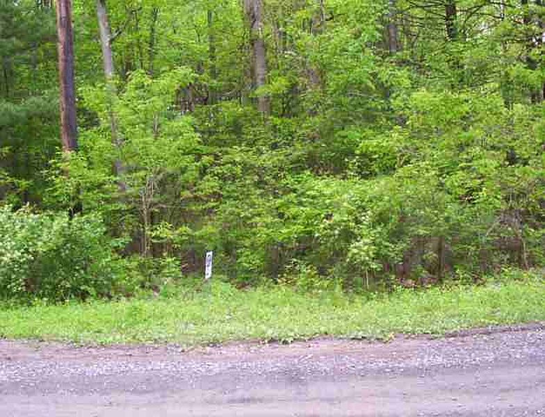 2nd image of Lot 2 PARADISE LAKE Road