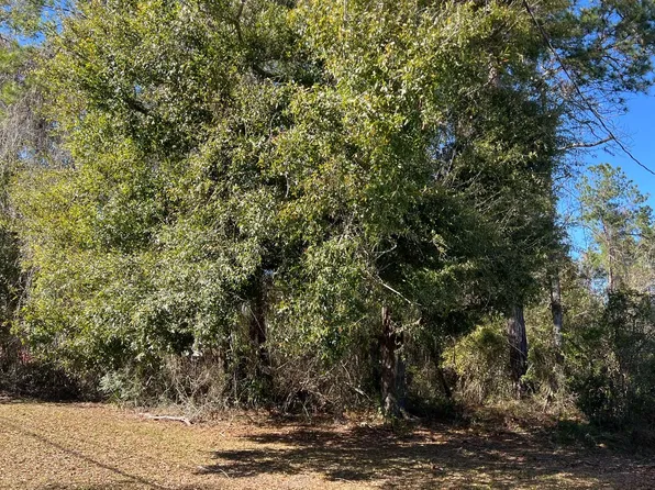 0 SW Saint Margarets St, Lake City, FL 32025
