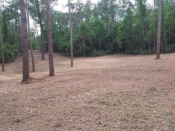 5th image of 83234 Isabel Swamp Rd