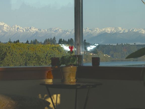 view from inside the house