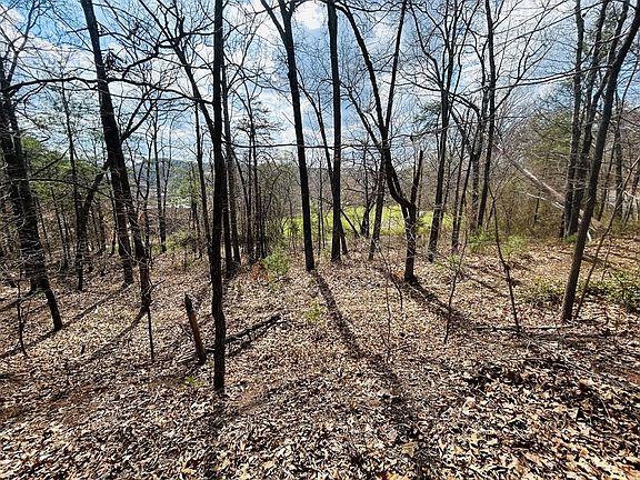4th image of LOT 118 Julia Simpkins Rd