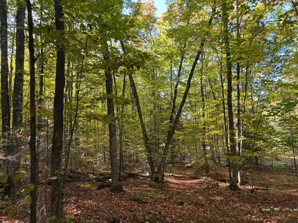Lot 32 NICOLET SHORES LN, Phelps, WI 54554