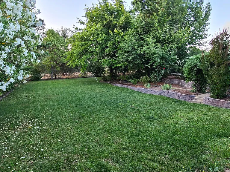 6658 Laird Rd — Photo 32