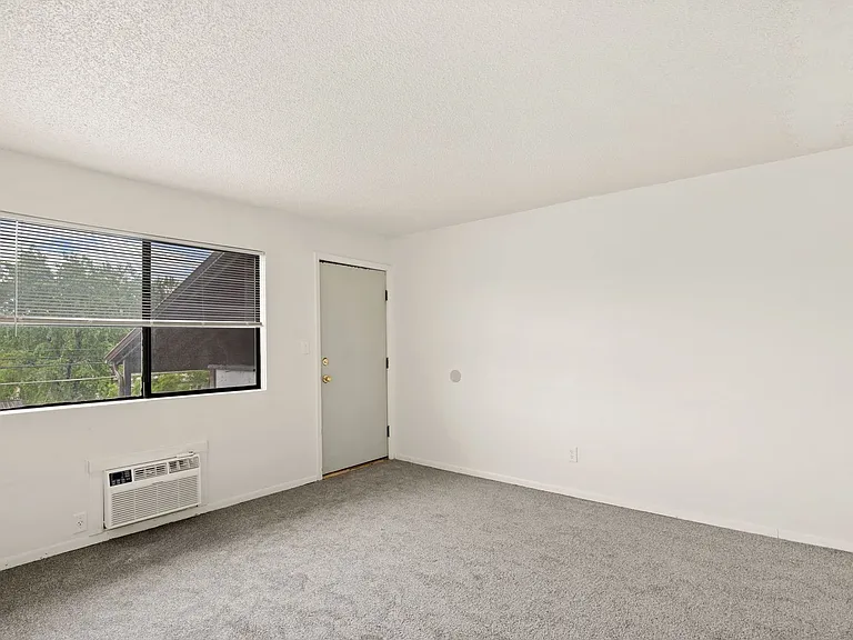 Plum Tree Apartments - 1 & 2 BEDROOMS — Photo 10