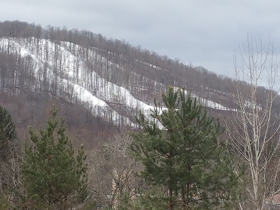 Close up view of Holliday Va