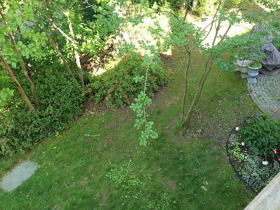 5th image of 15647 Montview Dr