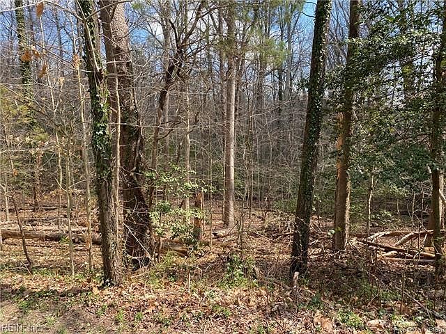 2nd image of 5 Laurel Farms Ln