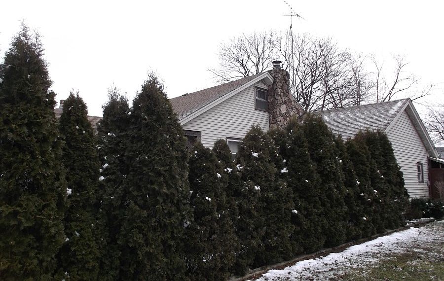 2nd image of 702 W Park St