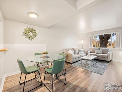 219 Chestnut St UNIT C4, Windsor, CO, 80550
