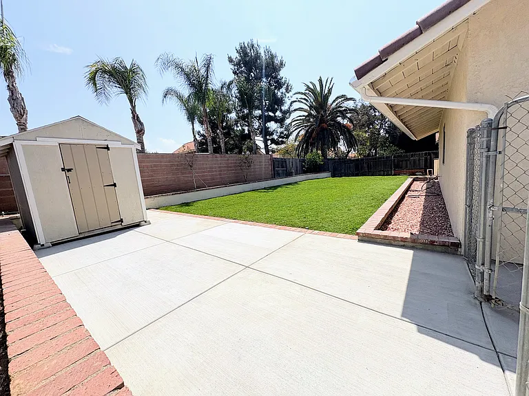 backyard and shed