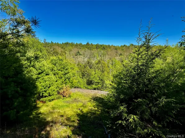 101 Stone Road, Hurley, NY 12491