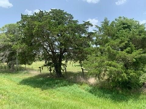 4th image of 29929 Fm 1301 Rd