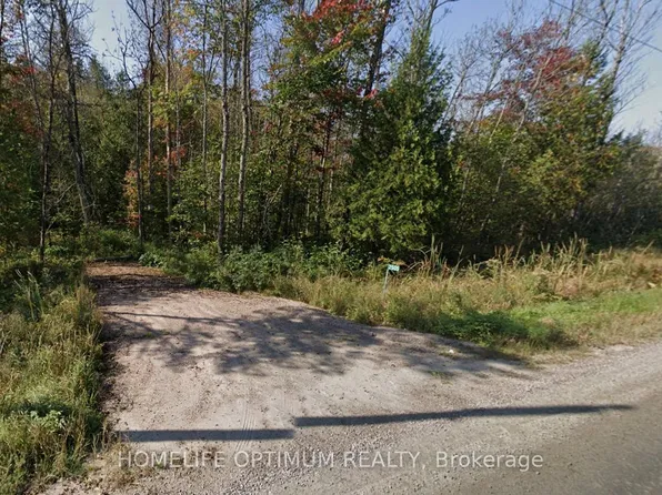 2505 Midlothian Rd, Ryerson, ON P0A 1C0