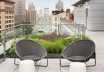 Rented by Bold New York