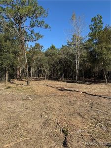 559 E Gulf To Lake Hwy, Lecanto, FL, 34461