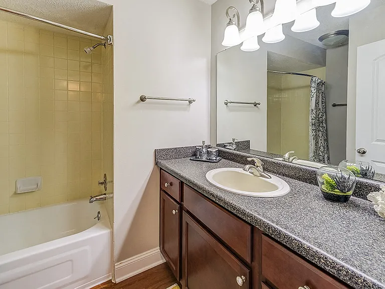Signature Series Guest Bathroom at Somerset Lakes
