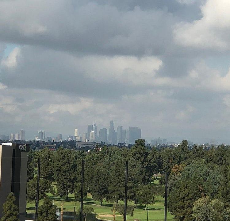 Views of Downtown Los Angeles