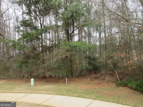 710 Donner Ct, McDonough, GA 30252