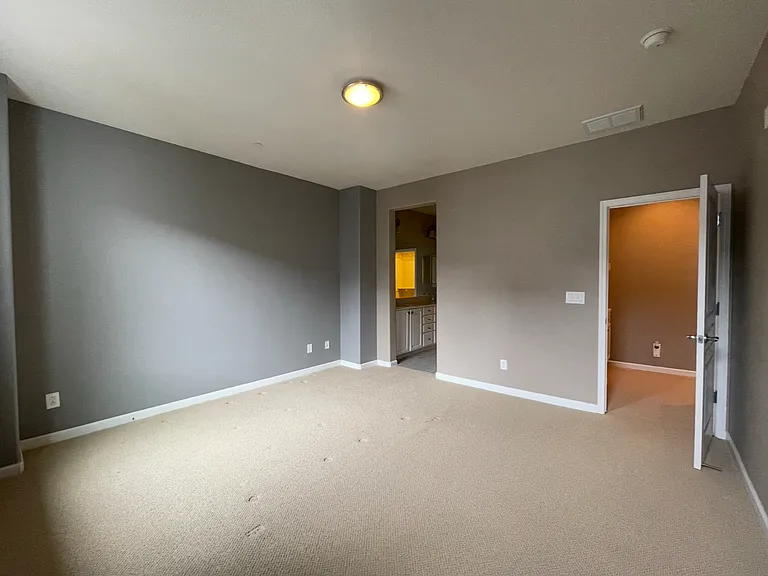 Primary Bedroom - view is from one corner of the room. The door leads to the 3rd floor hallway and the other opening leads to the full bathroom and walk-in closet