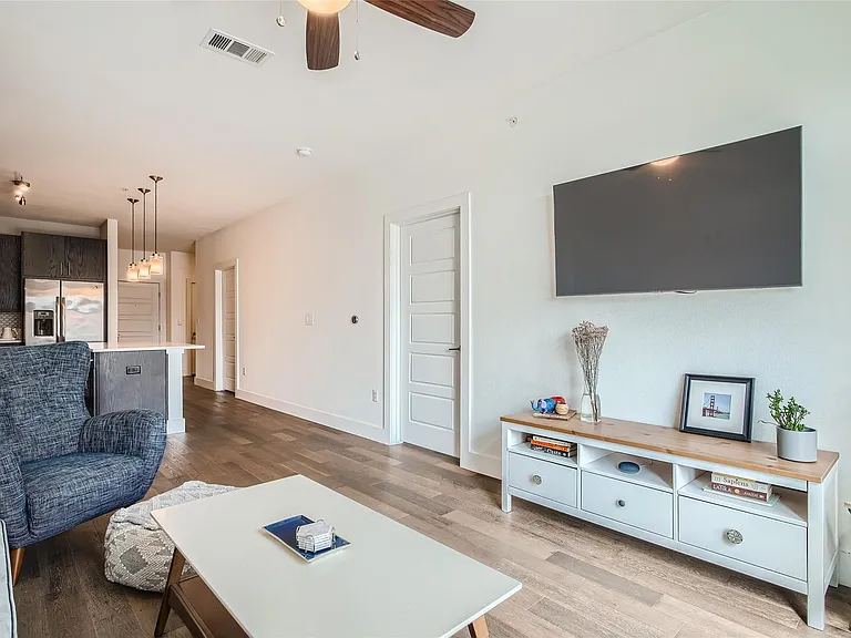 3114 S Congress Ave #201 — Photo 2