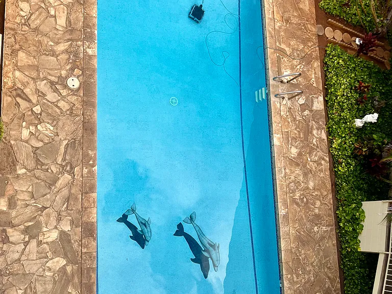 Sparkling, well-maintained copper-ion heated pool for your enjoyment. Pool hours 8am-9pm.