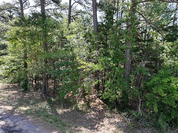 2nd image of 0 State Highway 154 W